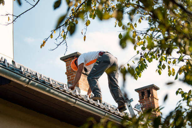 Best New Roof Installation  in Lakeview, WA