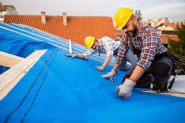 Best Storm Damage Roof Repair  in Lakeview, WA