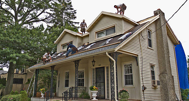 Best Roof Maintenance Services  in Lakeview, WA