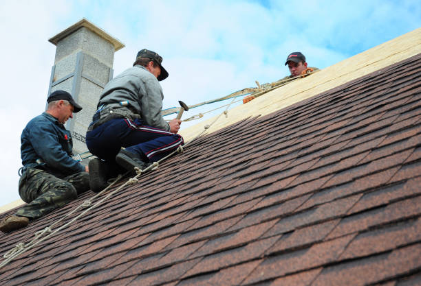 Best Roof Leak Repair  in Lakeview, WA